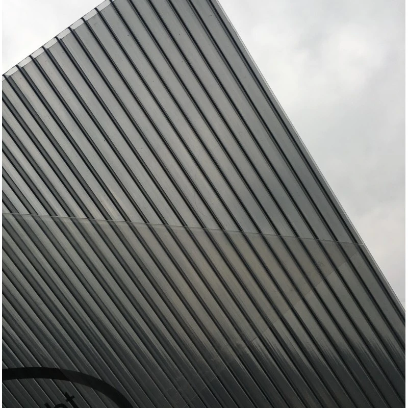 Pack De 3 Plaques De Polycarbonate De Remplacement - Ep. 6mm Gris Longueur 301cm 1 Pack De 3 Plaques De Polycarbonate De Remplacement - Ep. 6mm Gris Longueur 301cm